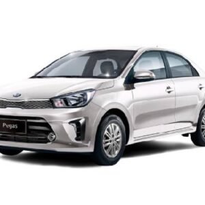 Kia Pegas-2024 LX